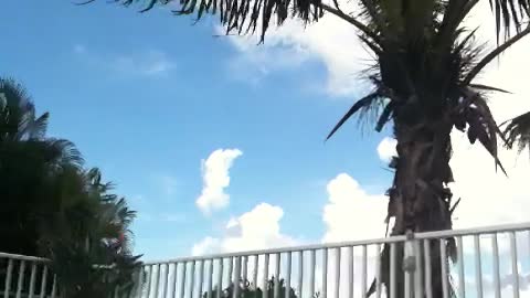 Golden Retriever tries to nap on pool float