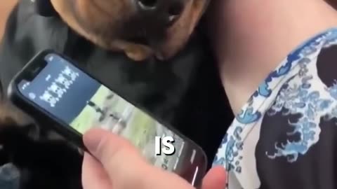 Doggy Day Care Voicemail