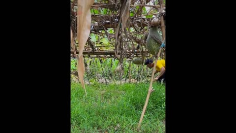 Chains funny video