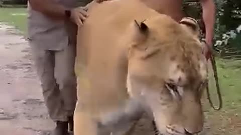 animals_cute 103