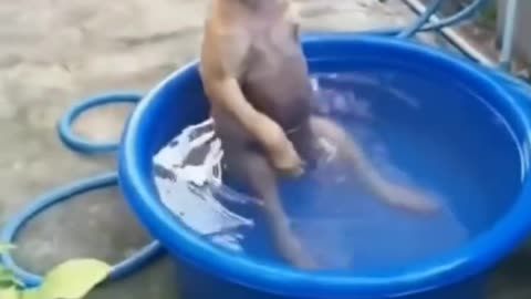 Very Hot weather 🥵🤣