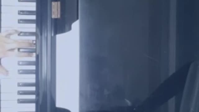 Until the piano beginner plays the Titanic OST
