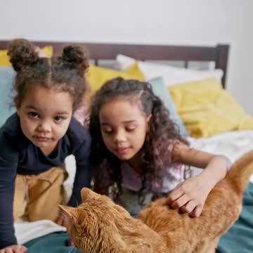 Baby Cats - Cute and Funny Cat Videos Compilation #34 | Aww Animals