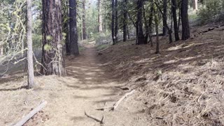 Upper Black Butte Trailhead – Deschutes National Forest – Central Oregon – 4K