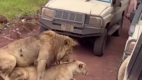 Only women can make a man cry like this..🤣