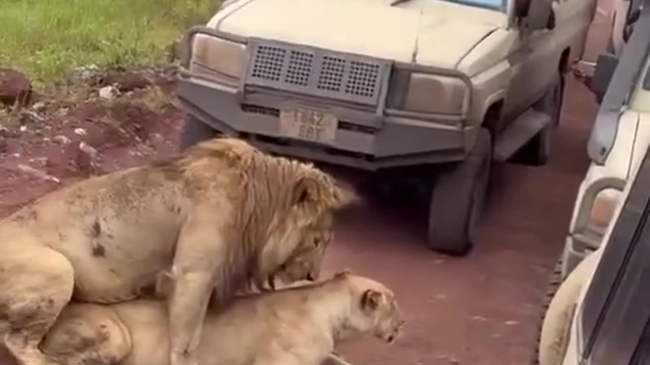 Only women can make a man cry like this..🤣