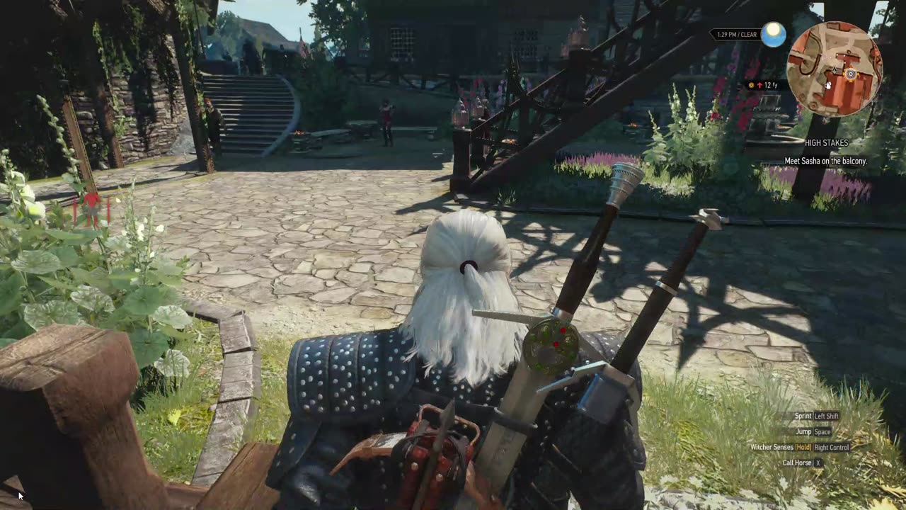 The Witcher 3 high stakes novigrad part 3 talking to shasha