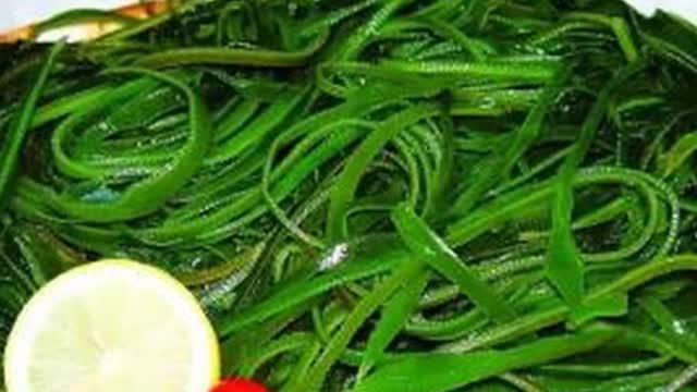甲狀腺低下或亢進 如何選含「碘」食物?