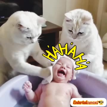 Funny viral🔥 video