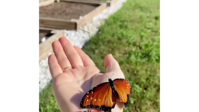 This animal is very cute and can make everyone happy when they see it