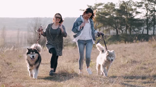 Womenwalking their dogs