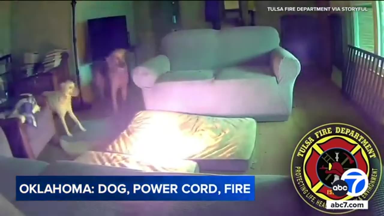 Battery bursts into flames after dog uses it as a chew toy in Tulsa, Oklahoma