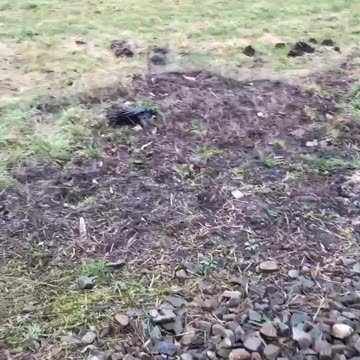 Gezielte Angriffe auf das Leben