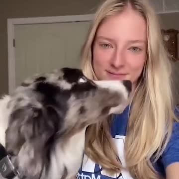 Dogs react to kisses - Love more is the lesson 1 min 7 sed