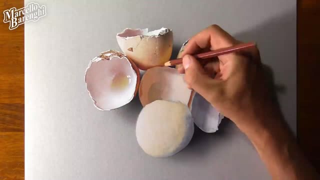 Describe The Shape Of The Egg In The Eggshell