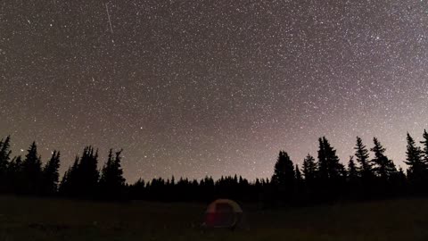 Relaxing nature : the stars a marvelous view