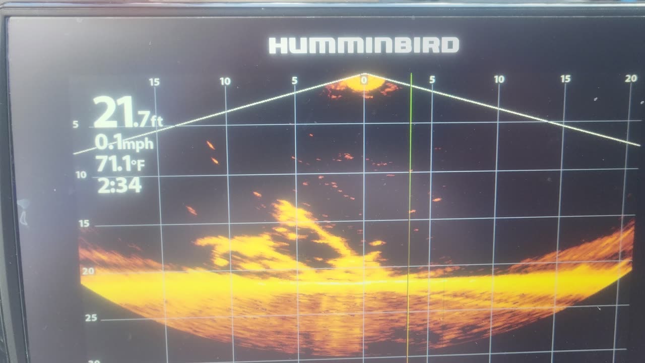 Humminbird Mega live