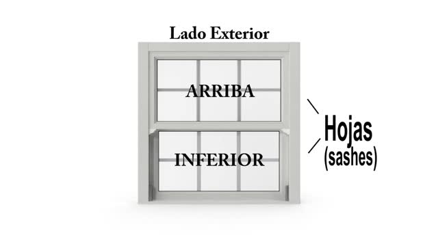 Partes Basicas de Ventanas