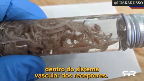 O que está crescendo dentro dos vaxxinados?