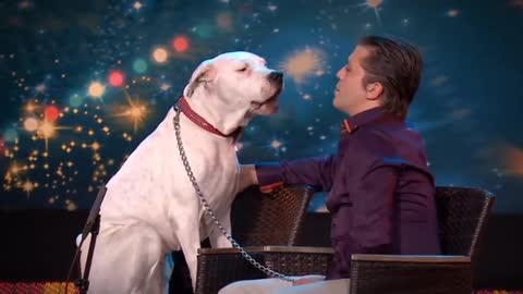 The Singer Dog!