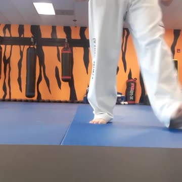 Tong Hap Kwan Hapkido Kicking Techniques