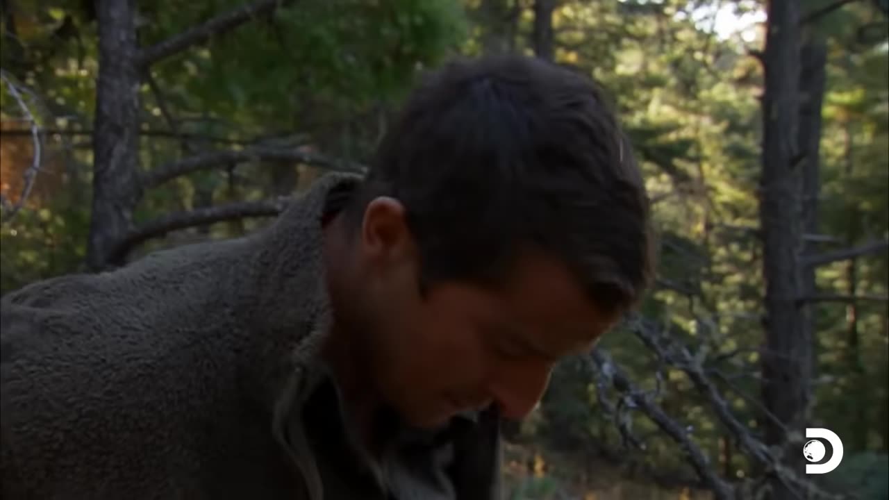 Bear Grylls' Jaw-Dropping Hunt for a Wild Pig - Man Vs. Wild - Discovery