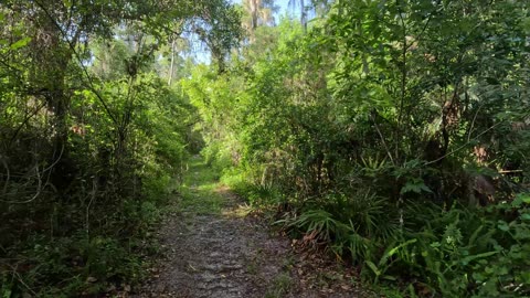 Flat Island Preserve, Leesburg FL