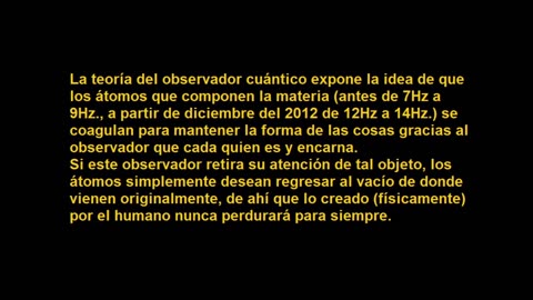 Teoría del observador cuántico