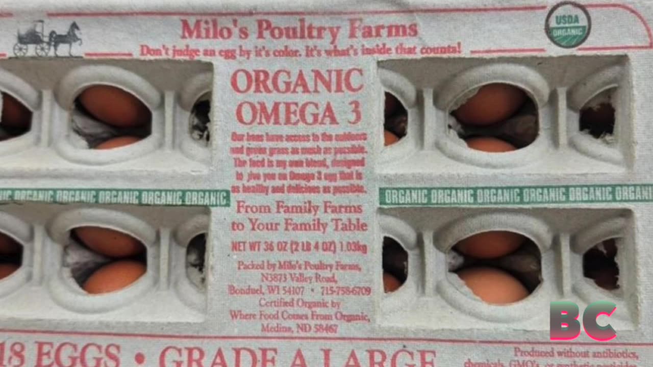 Egg brand recalled after salmonella outbreak sickens dozens of consumers in nine states