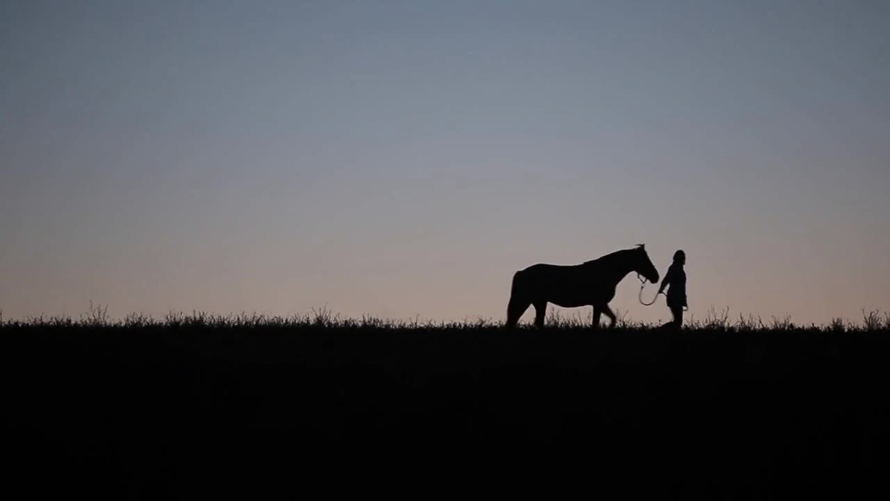 Silhouettes of a woman walking with a horse against sunset background