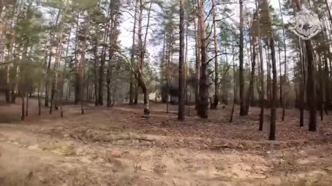Successful hunting