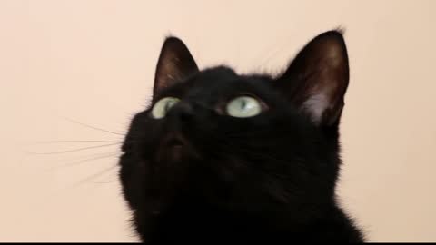 Where is my meal