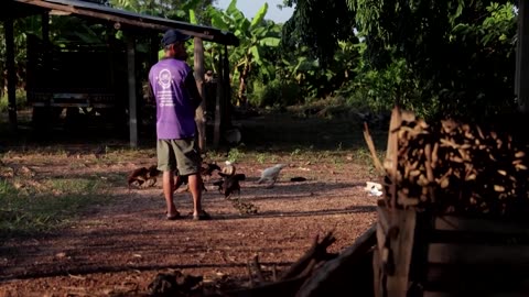 Far from Gaza, a Thai mother grieves for her missing son