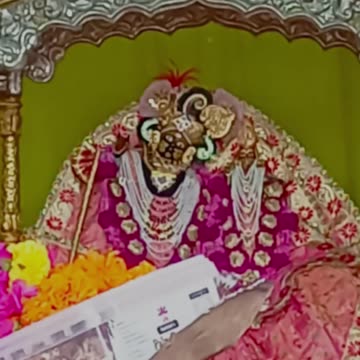 Live Radha Rani Temple Barsana Ladli Ji Maharaj India