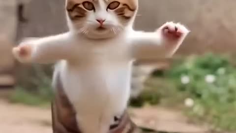 #FUNNY ANIMALS