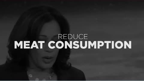 Donald Trump's Ad On Kamala Harris