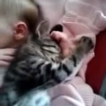 Beba y gatita disfrutan de una hermosa siesta juntas