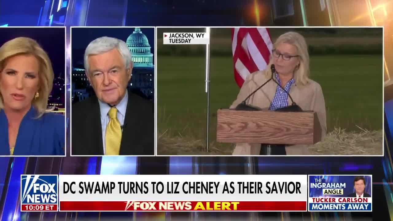 Newt Gingrich: Wyoming voters spoke decisively