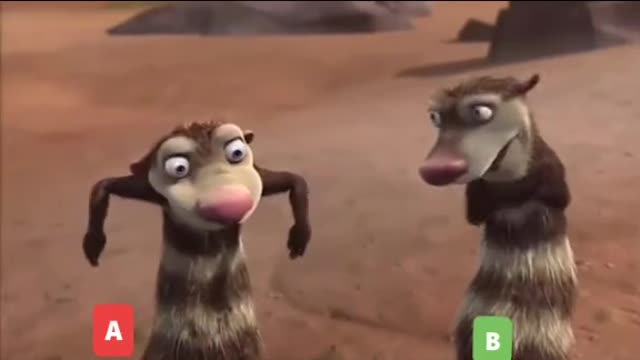 Who's the show of
