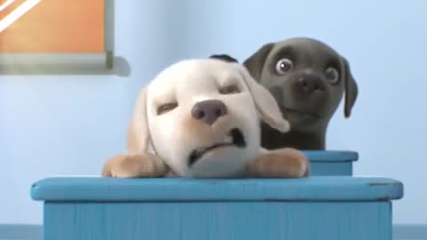 Dogs lover