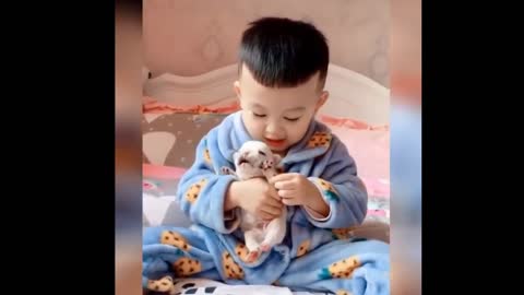 O M G Best Funny Cat Videos 2021