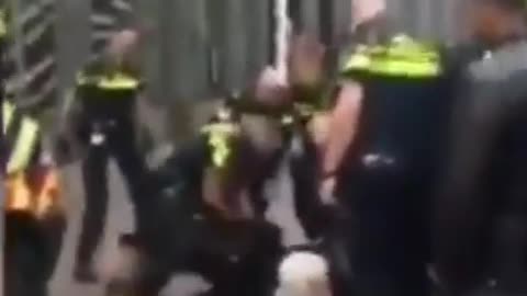 Policie nechala útočit psi na holandské zemědělce