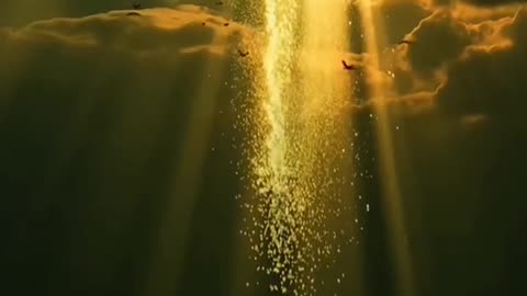 #Useful#Beautiful#Funny #Funny video#laugh# interesting#video#short video#short#short cut