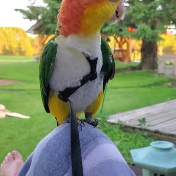 Peaceful night with my loves