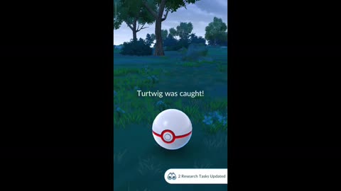 Pokémon GO-Shadow Turtwig