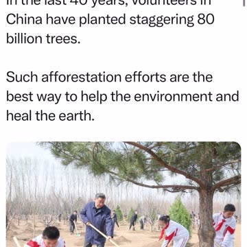 Chinese President Xi Jinping encouraging school children to plant trees.