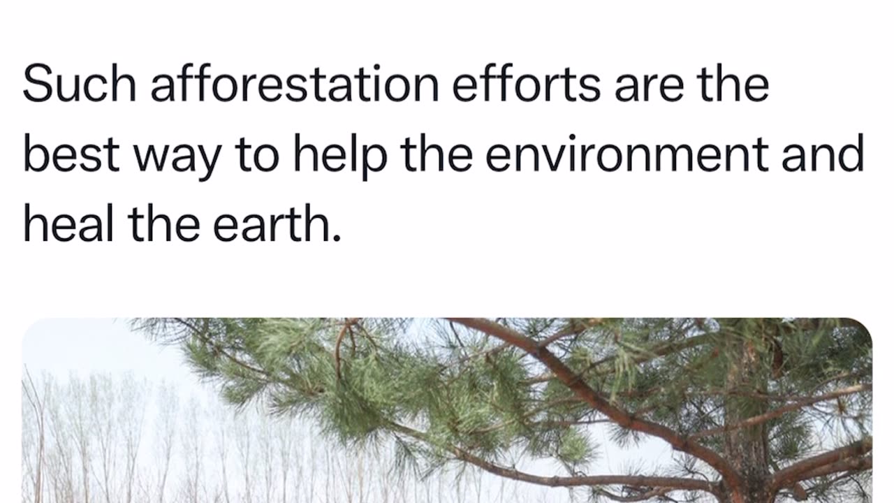 Chinese President Xi Jinping encouraging school children to plant trees.