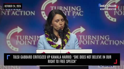 WATCH: Tulsi Gabbard Expresses Strong Criticism of VP Kamala Harris