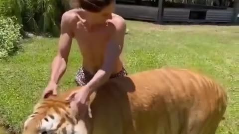 Best Funny Animal Videos of the Year. Funniest Animals Ever.