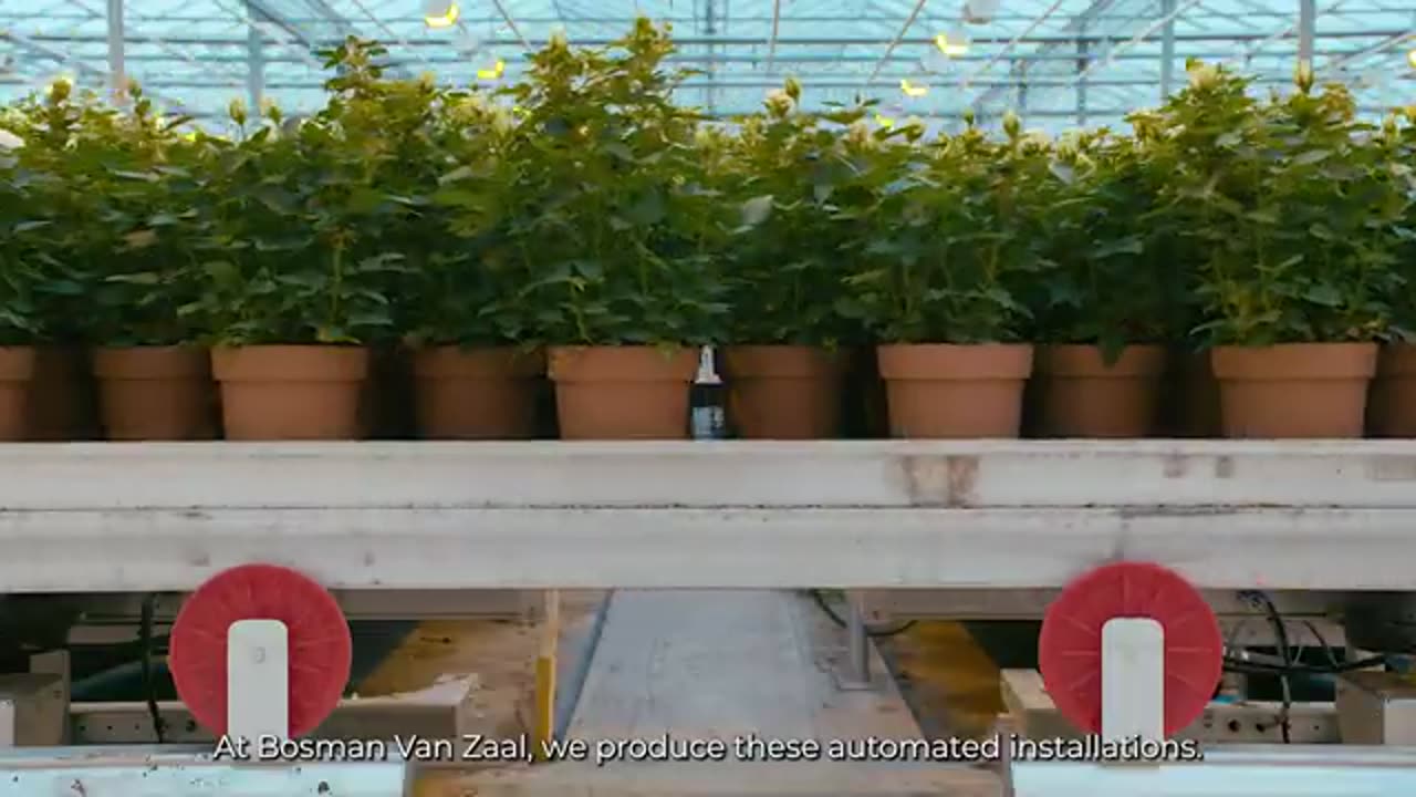 PLANT PRODUCTION SYSTEMS - BOSMAN VAN ZAAL (HOW IT'S MADE)